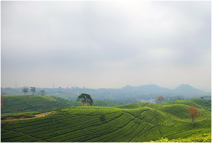 An Extremely Brief Urban History of Bandung