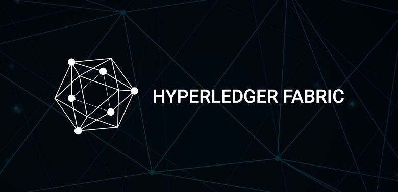 Hyperledger Fabrci Enterprise Development