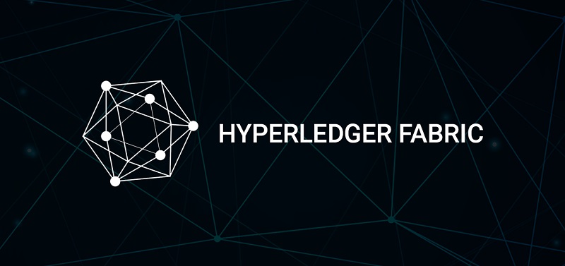 Hyperledger Fabrci Enterprise Development