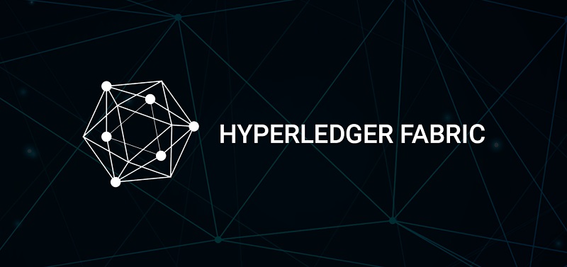 Hyperledger Fabrci Enterprise Development