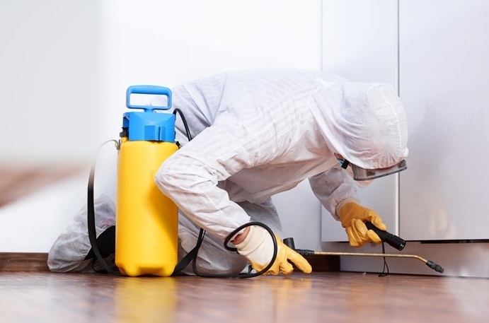 Qualities Of The Best Commercial Pest Control