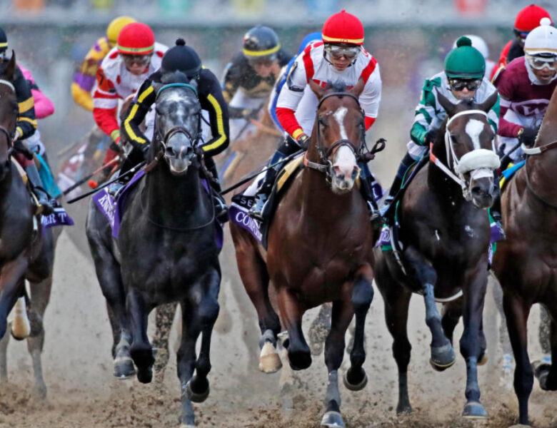 Understanding Different Types of Horse Racing Odds 