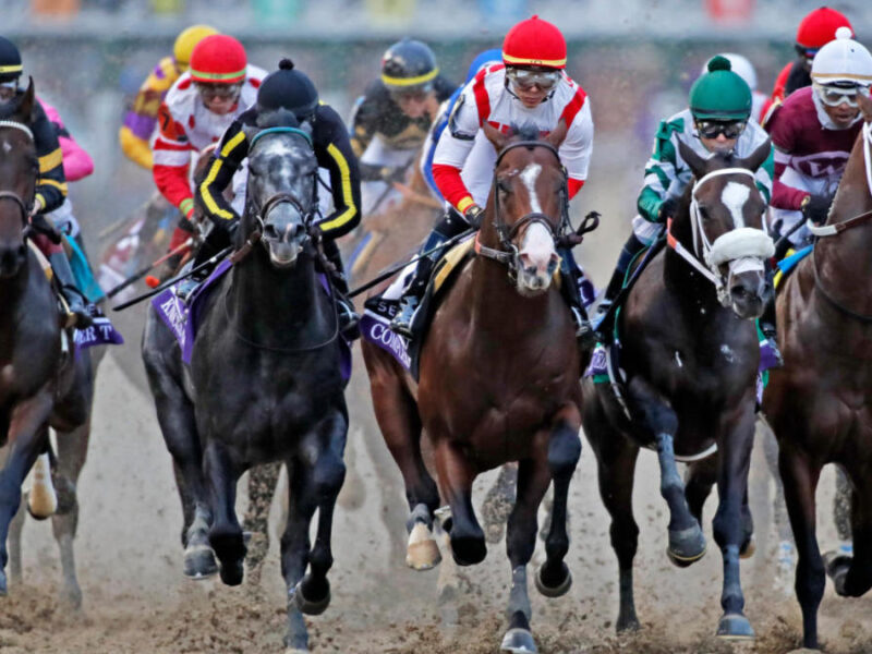 Understanding Different Types of Horse Racing Odds 