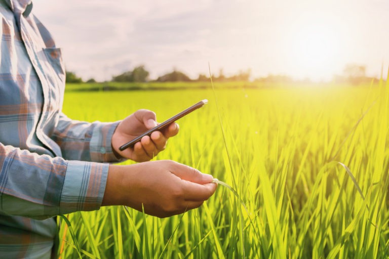 How farming apps are affecting the lives of farmers