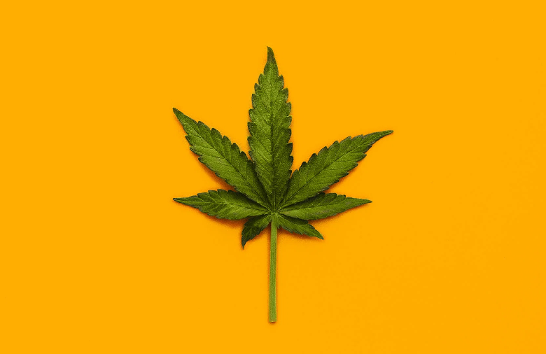 How Long Does THC/Marijuana Stay Effective?