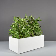 THE USEFULNESS OF NURSERY POTS