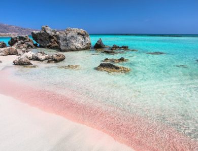 Have a Beautiful Vacation on the Pink Beach!