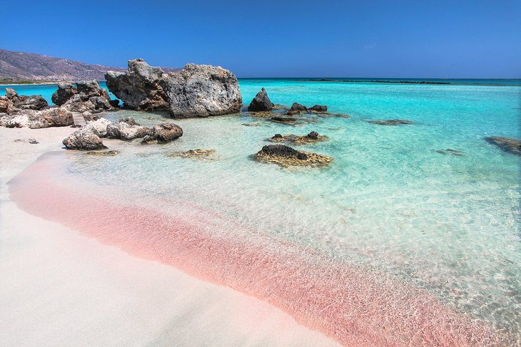 Have a Beautiful Vacation on the Pink Beach!