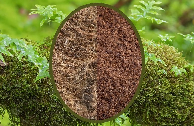 Coco Peat vs Coco Coir: What’s the Difference?