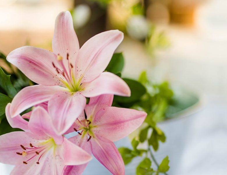 how having lilies boosts positivity