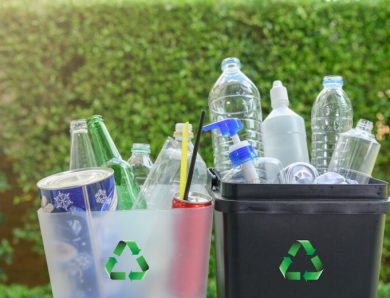 What You Need to Know about Wood Disposal Solutions in Singapore