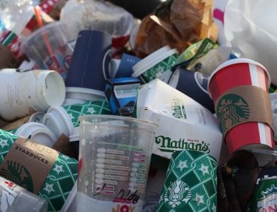 Why You Need a Professional Bulky Waste Removal Company: The Benefits Explained