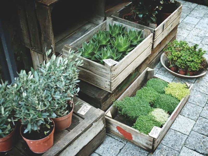 Eco-Essentials: Sustainable Nursery Planter Choices for Conscious Growers