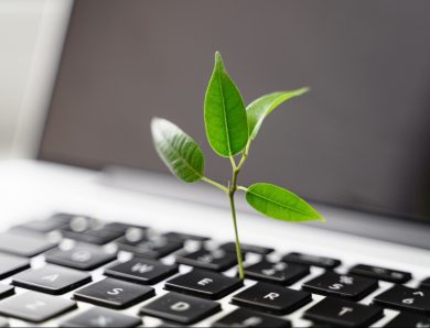 The Powerful Role of Carbon Offset Reforestation and Carbon Credit Projects in Combating Climate Change