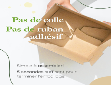 Discover Wingbox: Your Eco-Friendly, Easy-Packing Buddy!