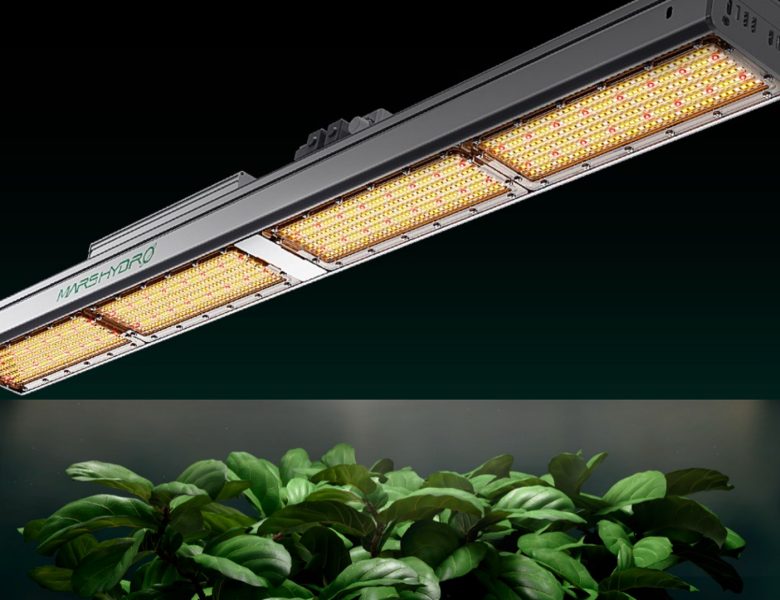 Achieving Year-Round Harvests with Hydroponics and LED Grow Lights in a Grow Tent