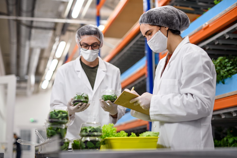 Smart Agriculture IoT