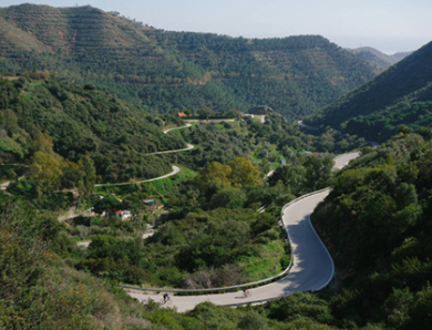 Private Transfer From Malaga To Marbella – Make Your Journey Smooth And Comfortable