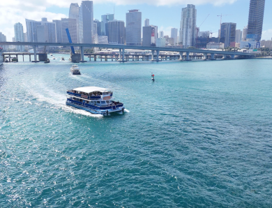 Top 6 Tours in Biscayne Bay, Experts Say, Offer True Magic