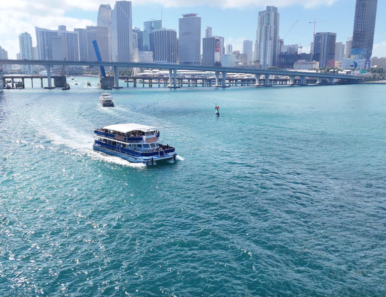 Top 6 Tours in Biscayne Bay, Experts Say, Offer True Magic