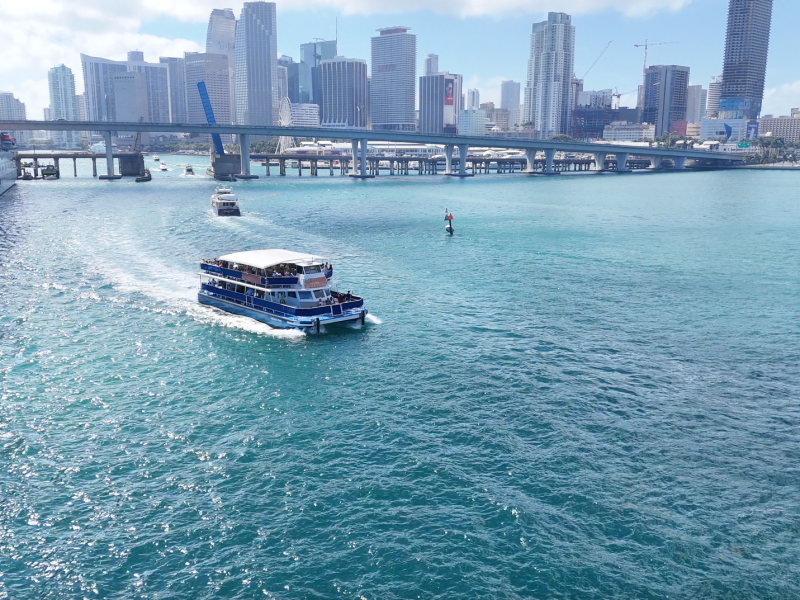 Top 6 Tours in Biscayne Bay, Experts Say, Offer True Magic