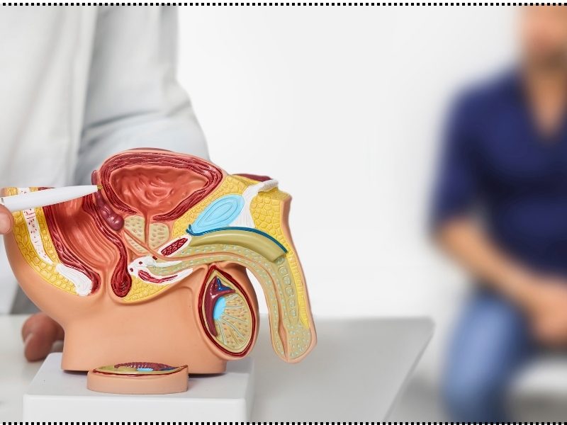 How Men Can Improve Sexual Health Through Early Urologic Care